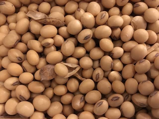 Soyabean Farming
